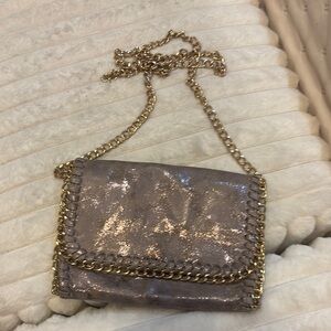 Olivia Miller Silver and Gold Clutches with Chain Strap